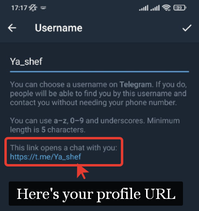 How to copy Telegram profile link and ID
